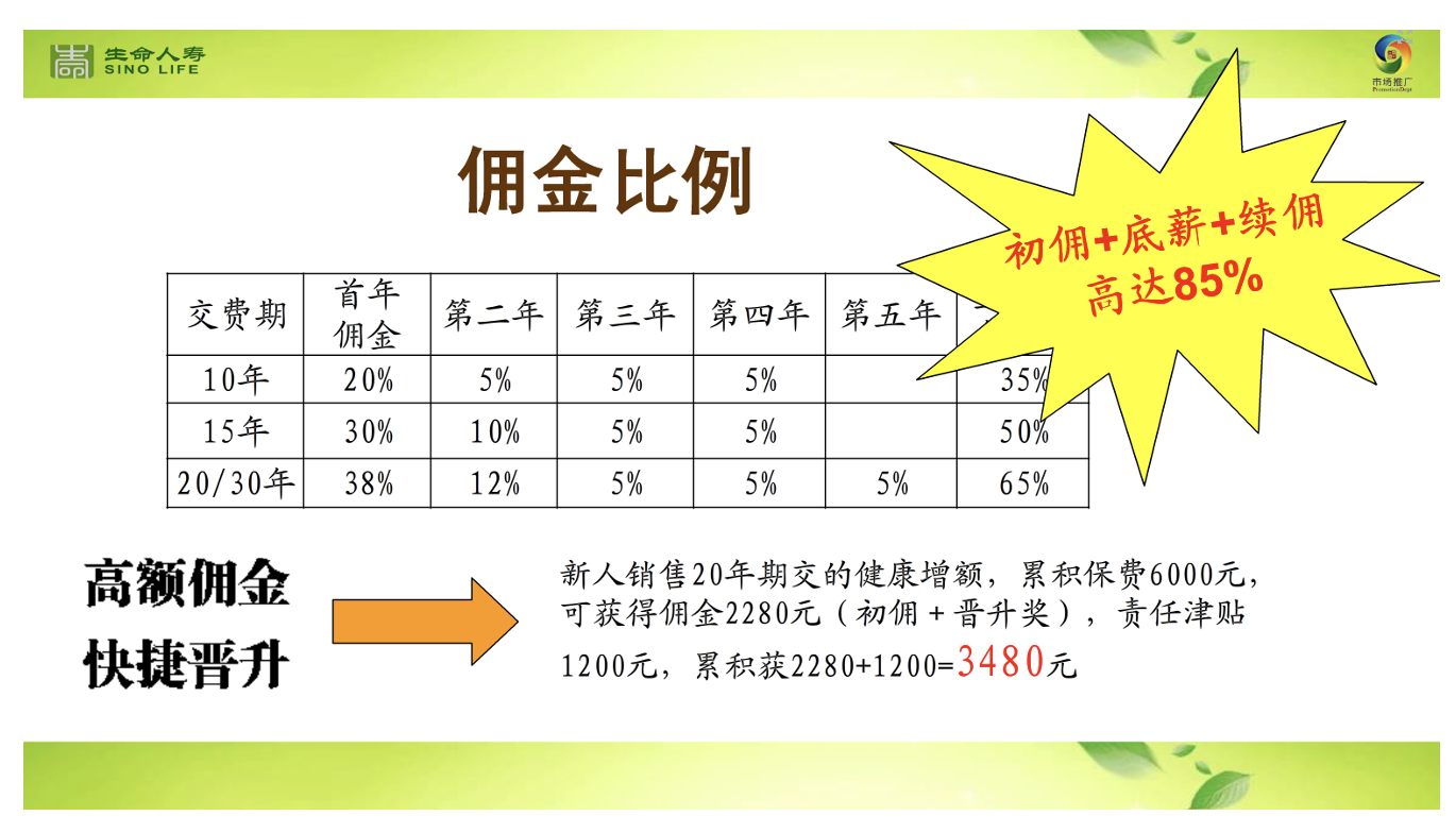 295c4987e8265febab39b